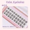 JILL LEEN - False Eyelashes - 2 Types
