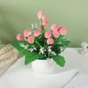 Strawberry Simulate Apple Orange Peach Pomegranate Fruit Tree Potted Plants