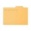 Plus File Individual Folder Recycled Paper B4 Yellow 10 Sheets FL068IF 87-437ÁE0