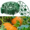 10Pcs Melons Cradle Pumpkin Support Strawberry Supports Holder Set Protect Watermelons From Ground Rot Holds Gardening Tray