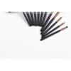 Stroke of Beauty - Set of 12: Eye Makeup Brush with Bag