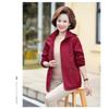 Autumn Jacket Jacket Fashion Women's Spring and Autumn Windbreaker Fashion Thin Short Jacket Top