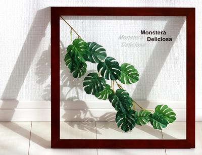 Monstera Deliciosa 3 Leaf Panel, Made of Ayu Straw, with Display Instructions. Wall-Mounted, Framed Leaf Panel, Art Panel, Living Room, Entryway,