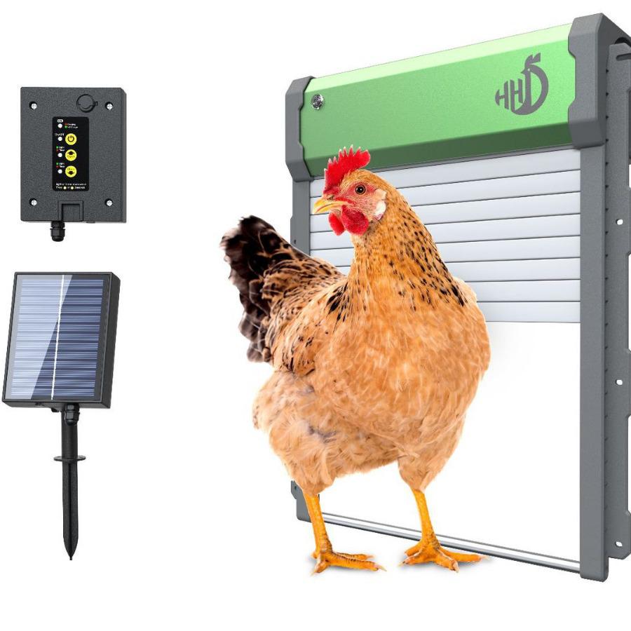 Smart Mini Egg Incubator for Parrots and Budgies: Automatic Pet Hatchery Equipment