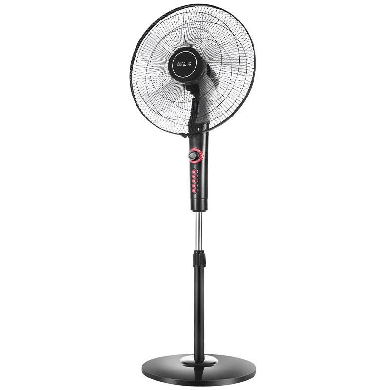 Great Wall Pedestal Floor Fan CN Plug (adapter Included)