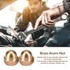 Brass Acorn Nut Kit Dome Head Cap Hex Nuts Set Vehicle Fasteners