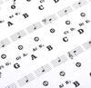 XP Design Piano Keyboard Sheet Musical Keys Stickers, Music, Notes, 88/61/49/37 (Black)