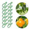 500Pcs Garden Vine Strapping Clips Plant Bundled Buckle Rings Holder Tomato Garden Plant Stand Garden Decors Accessories