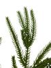 Simulated Green Pine Needle Rattan Vine, 2m Encrypted Plastic Christmas Decoration for Festive Atmosphere.