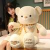 2026 New Cute Teddy Bear Plush Toy Giant Stuffed Animal Valentine's Day Gift
