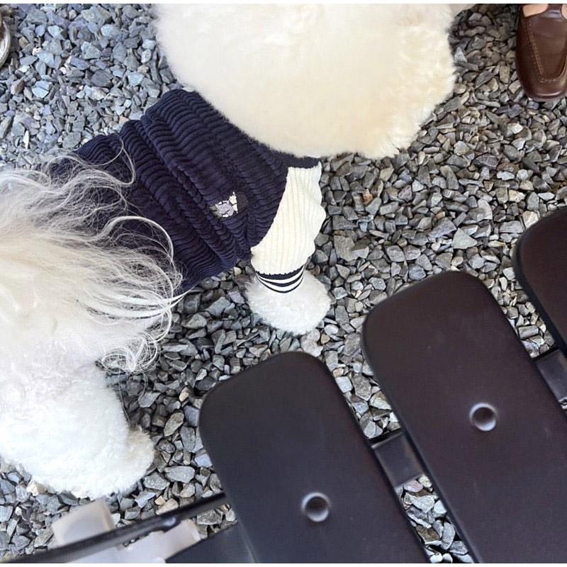 Korean-style Dog Baseball Jacket  Pet Jackets For Small  Medium Cat  Teddy Warm Fashionable Pet Clothing For Puppies