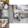 Adorable 10pcs 12cm Mini Plush Bear Wedding Gift Decor Soft Stuffed Dolls