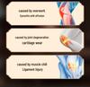 Knee Heating Pad with Moxibustion for Joint Therapy and Warmth
