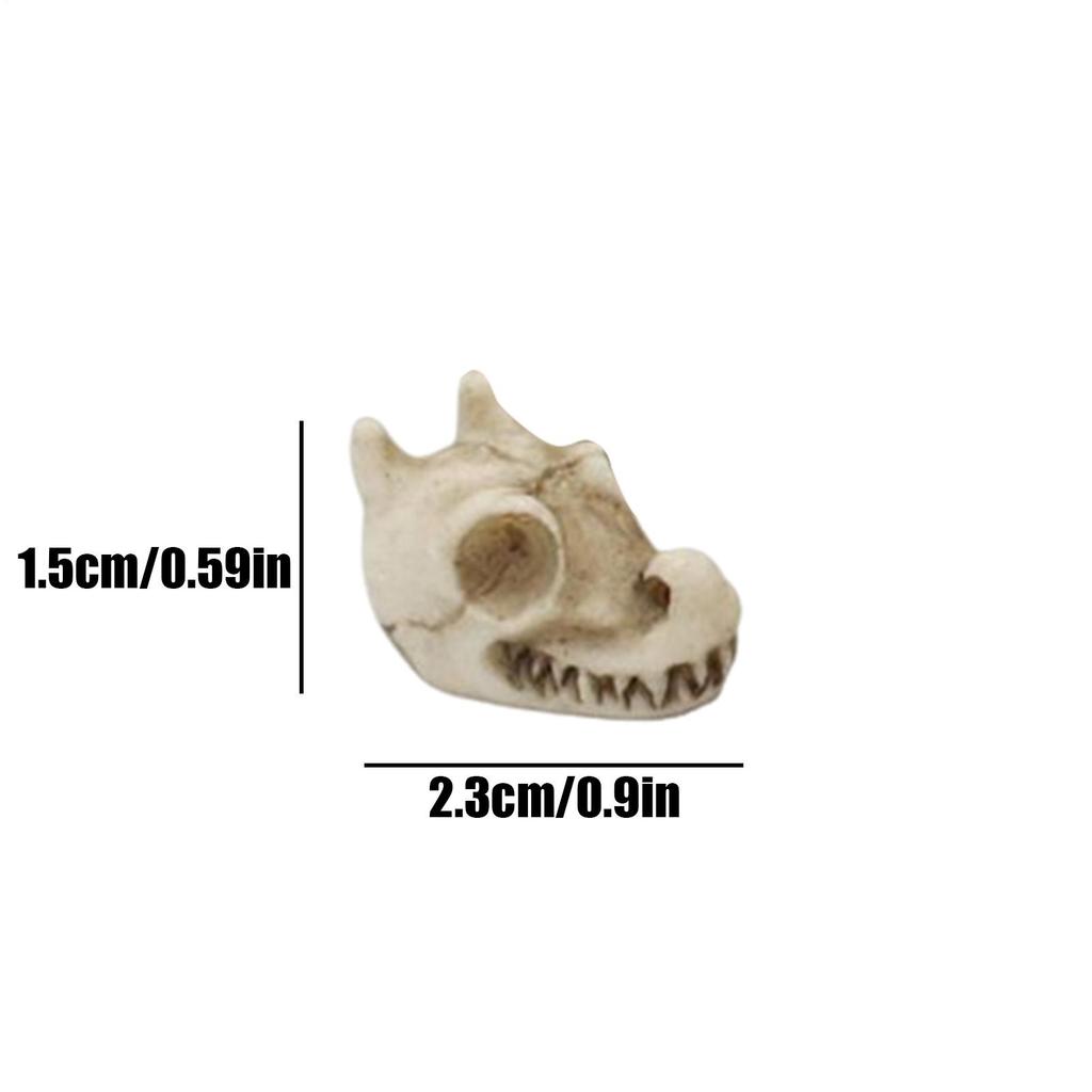 20pcs Resin Dragon Skull Decoration Mini Paving Stone Outdoor Landscape Decoration Dragon Skull Design Flowerpot Filler Stones