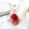 Ins Style Angel Preserved Rose Glass Dome