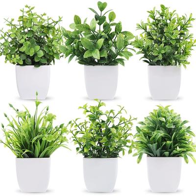 6 pakeliai mažų dirbtinių augalų, mini dirbtiniai augalai vidaus patalpoms namams, sodybai, vonios lentynos dekorui (Aukštis : 17CM, Balta)