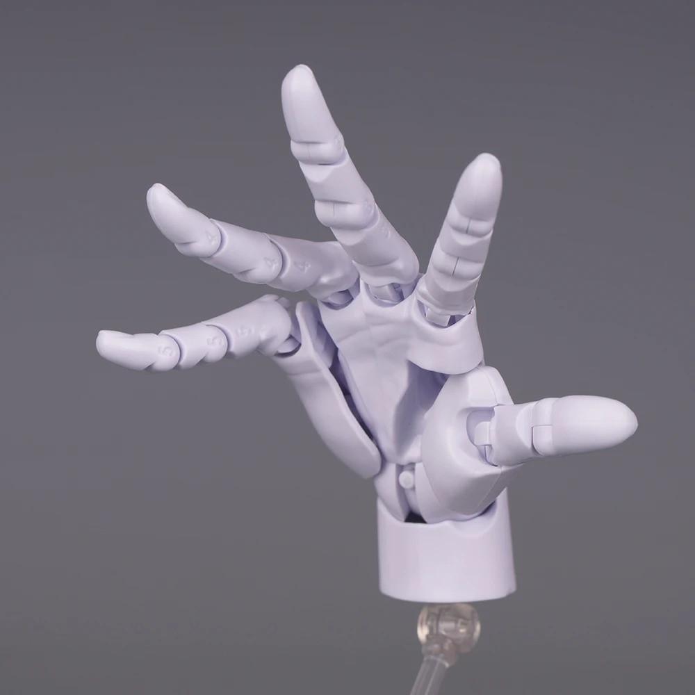1:2 Scale Human Hand Model Mini Size Twisted Egg Design Palm Model With Posable Fingers Movable Joints Simulation Palm
