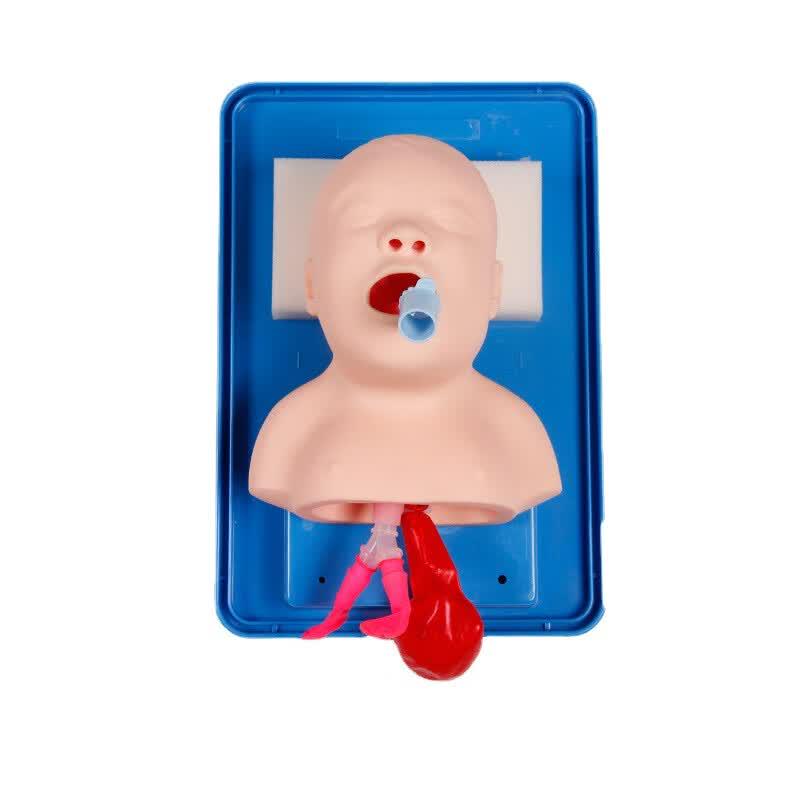 Neonatal Tracheal Intubation Training Manikin Neonatal