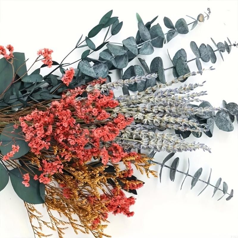 Набор Натуральных Ароматов 40 Сушеных Стеблей Эвкалипта Пучки Лаванды Сушеные Цветочные Композиции для Декора Ванной Комнаты China Mainland