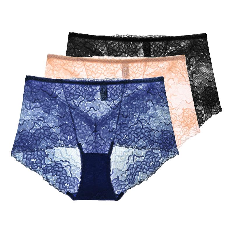 3 Pezzi Lingerie Sexy da Donna Vita Alta Slip in Pizzo Rete Trasparente Boyshorts Slip da Donna