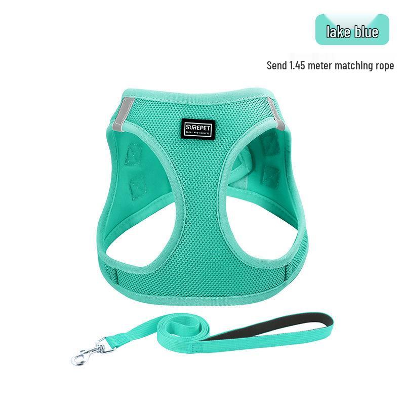 Escape-Proof Cat & Small Dog Harness Leash - Outdoor Walking Rope for Teddy & Bichon Frise