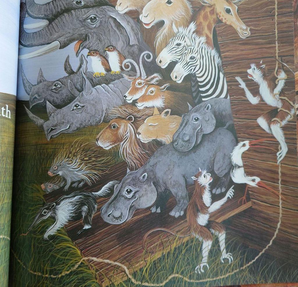 [USED] Two by Two by John Winch English Picture Books