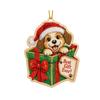 Christmas Hanging Ornament Festive Holiday DIY Decoration Set