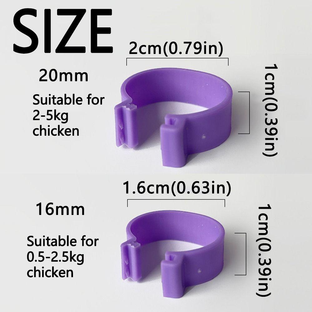 100 Stück Kunststoff Geflügel Fußbänder Gemischte Farbe Band Fußring Hühneridentifikation
