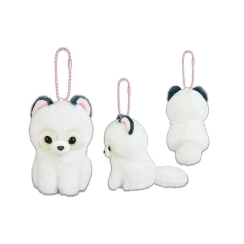 

amuse Popon and raccoon LMC Yudofu 704642