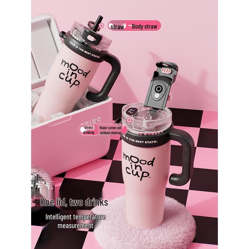 

HANDUNYOU Jumbo Insulated Straw Mug