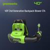 Greenworks Backpack Leaf Blower CN Plug (adapter Included)