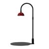 Micro Landscape Plant Growth Lamp with Timmer Height Adjustable Flicker Free Sunlight-like Spectrum