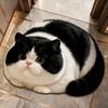 Diatomaceous Earth 3D Cat Floor Mat 45×60CM Bedroom Door Rug Creativity Bathroom Carpet  Home Decor