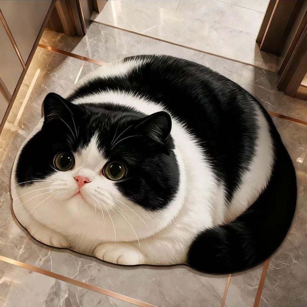 Diatomaceous Earth 3D Cat Floor Mat 45×60CM Bedroom Door Rug Creativity Bathroom Carpet Home Decor