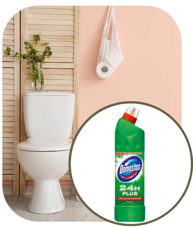 Domestos 750 Ml
