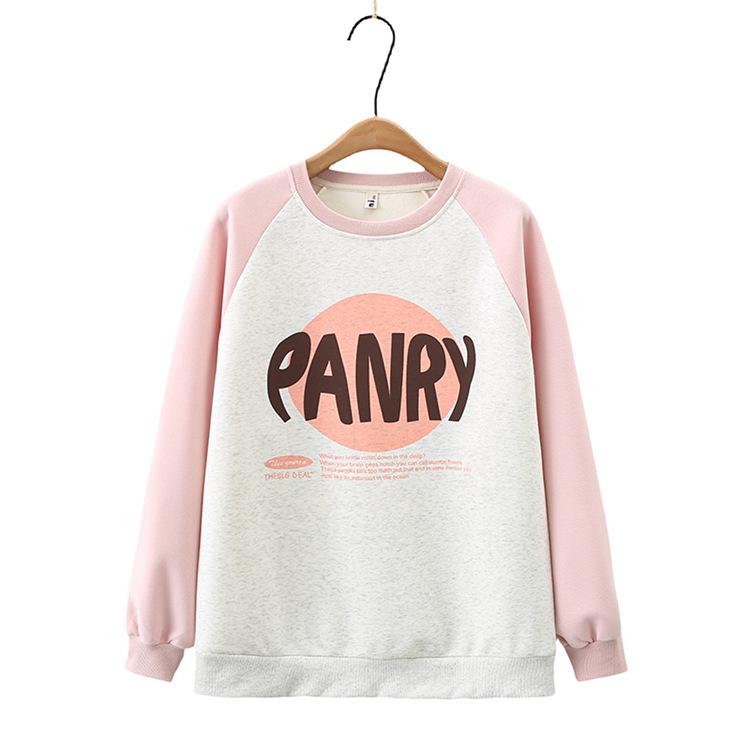 

Stylish Plus Size Color Block Round Neck Sweatshirt for Women - Fashionable Fall 2023 XL