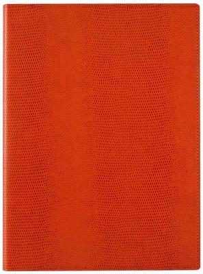Raymay Fujii Notepad Zeitvector B5 Orange ZVP233D