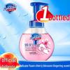 Safeguard Gentle Scent Foam Hand Wash
