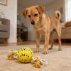 Dog Ball Chew Toy Teeth Cleaning Toy Interactive Rope Knot Tug-of-War Toy for Small to Large Dogs Fetch Training