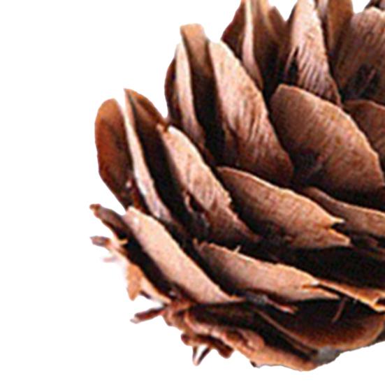 20Pcs Artificial Pine Cone Attractive for Garden Convenient Decorative DIY Simulation Pinecone Novel Vivid Natural