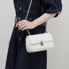 Bag women's autumn and winter new messenger bag women's bag underarm bag premium chain bag luggage
