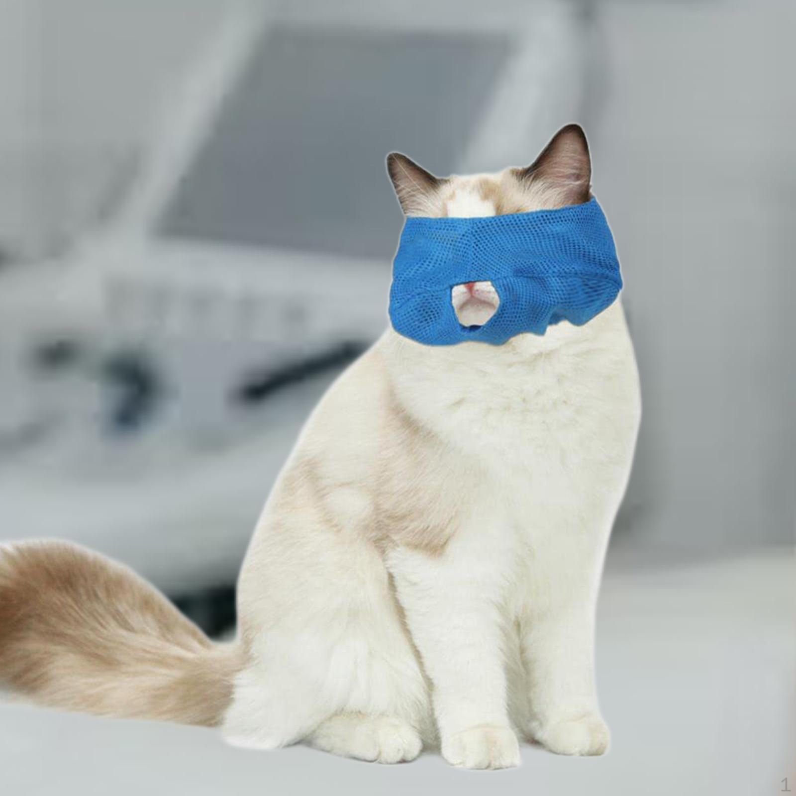 

Патч-маска для кошачьих глаз, защита от укусов, отличная защита, легко надевать и снимать собаку L and blue