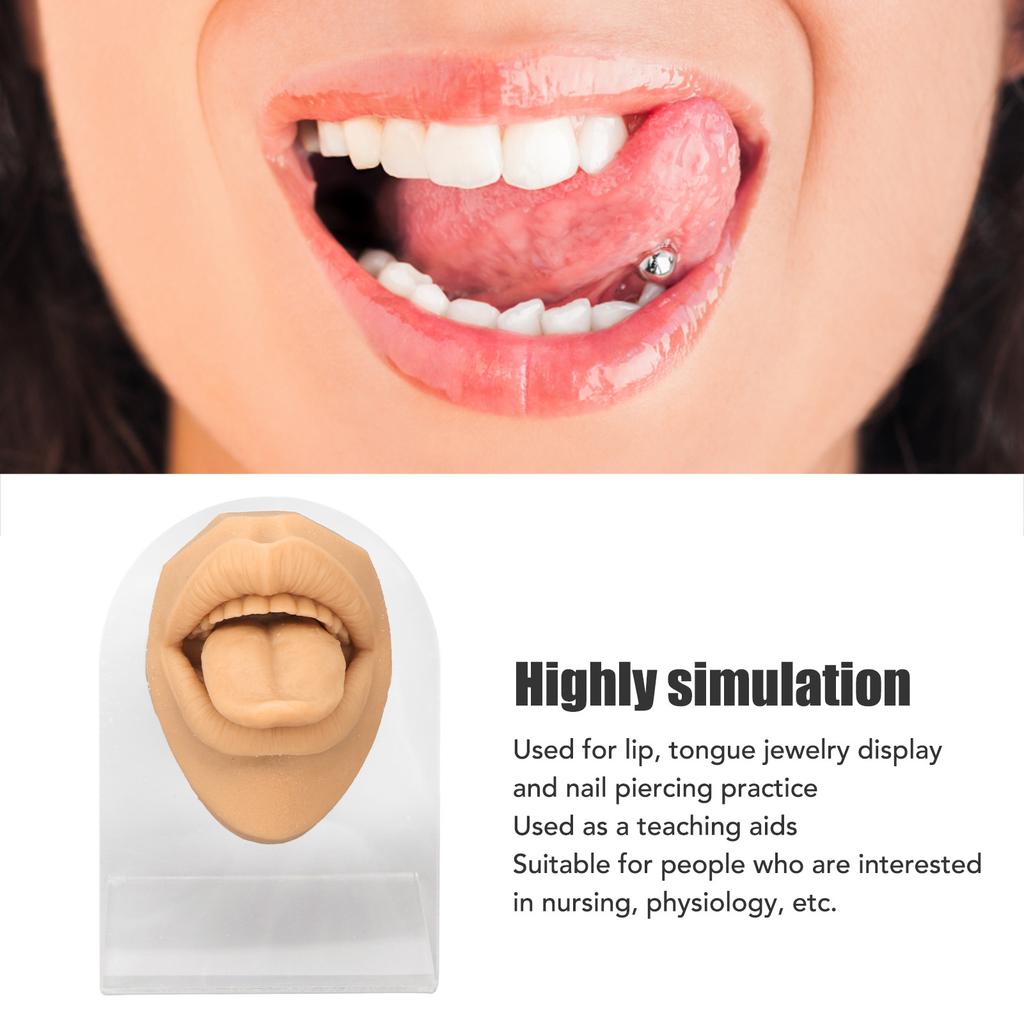 Modelo de lengua humana, silicona suave, soporte acrílico realista, modelo de boca para exhibición de joyería