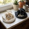 Gothic Dragon Guardian Catchall Dish Dark Style Key Coin Storage Holder  Entryway Front