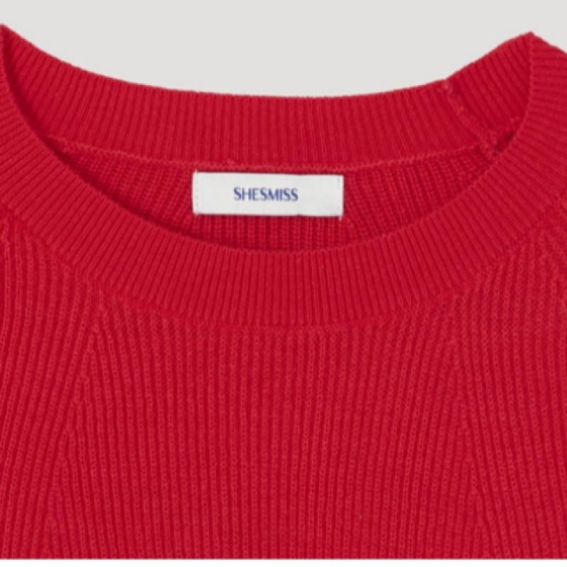 She S miSS  Raglan Sleeve Ribbed Knit SSkpop12530 Pr