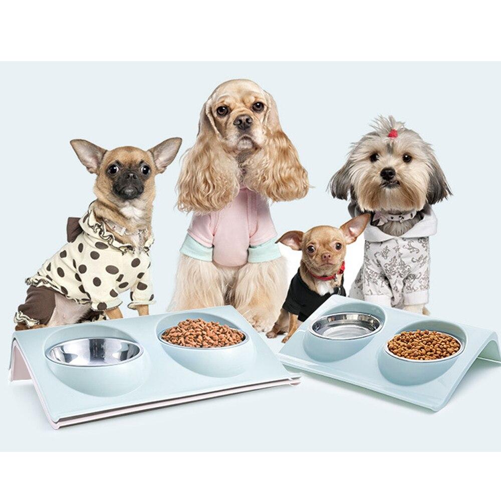 dog feeding plate