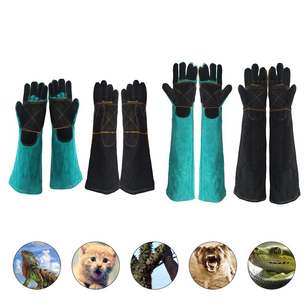 dog training glove