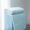 LUOLAI Super Soft Washable Anti-Mite Summer Quilt