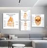 Human Organs Brain Liver Heart Anatomy Poster Print Canvas Painting Human Body Map Medical Classroom Office Room Home Decoration