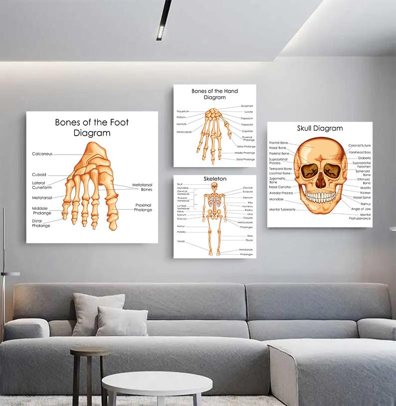 Human Organs Brain Liver Heart Anatomy Poster Print Canvas Painting Human Body Map Medical Classroom Office Room Home Decoration